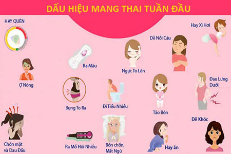 Dấu hiệu mang thai sớm sau 1 tuần quan hệ