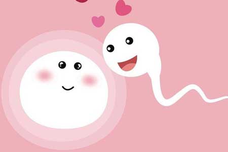 Quá trình thụ thai diễn ra như thế nào?