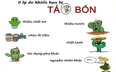 Táo bón lâu ngày là nguyên nhân dẫn đến bệnh trĩ